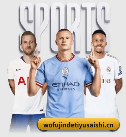 五个功能入口,赛程查询路径更短 - 多运动项目内容板块